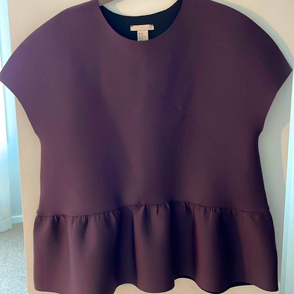NWT. plum color neoprene top with flounced bottom